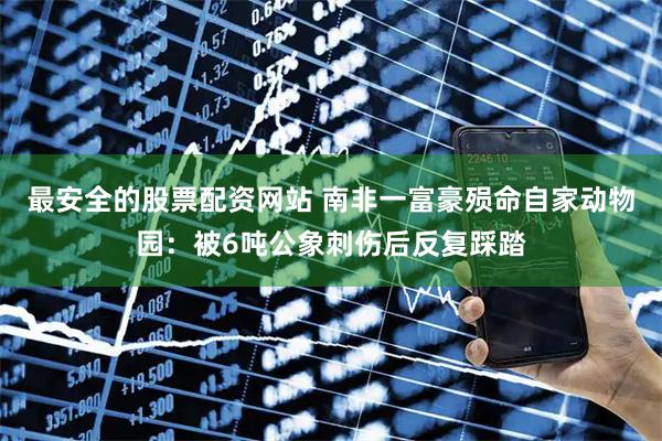 最安全的股票配资网站 南非一富豪殒命自家动物园：被6吨公象刺伤后反复踩踏