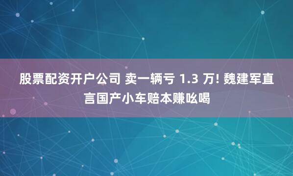 股票配资开户公司 卖一辆亏 1.3 万! 魏建军直言国产小车赔本赚吆喝
